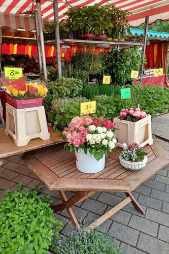 Kindergarten - Wochenmarkt