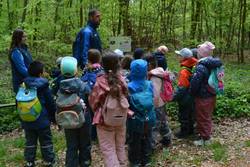 Kindergarten: Naturerlebnis der Vorschulkinder April 2026