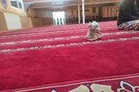 Kinderkirche zur Besuch in der Moschee