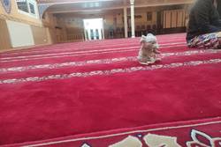 Kinderkirche zur Besuch in der Moschee