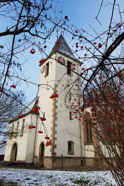 Quelle: Susanne Berthold