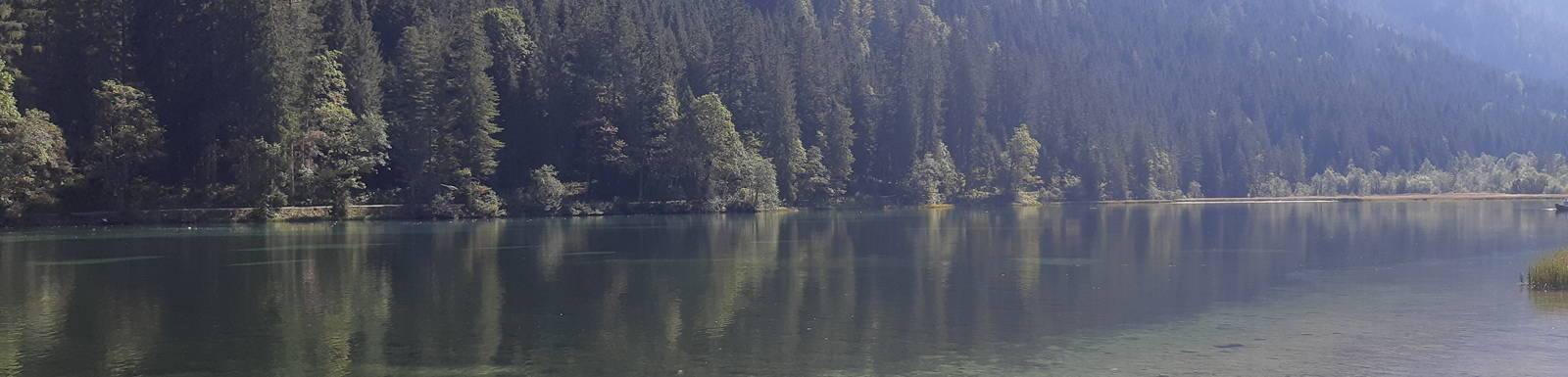 Quelle: Saskia Himmelsbach Nadelbäume spiegeln sich im Wasser